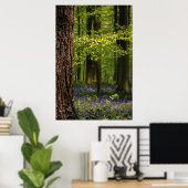 Wälder | Bluebells in Belgien Poster (Heimbüro)