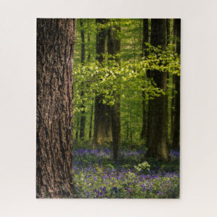 Wälder   Bluebells in Belgien Puzzle