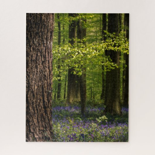 Wälder | Bluebells in Belgien Puzzle (Vertikal)
