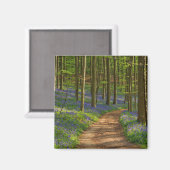 Wälder | Bluebellwald in Belgien Magnet (Vorderseite/Rückseite)