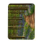 Wälder | Bluebellwald in Belgien Magnet (Vertikal)