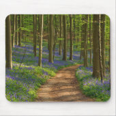 Wälder | Bluebellwald in Belgien Mousepad (Vorne)