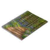 Wälder | Bluebellwald in Belgien Notizblock (Linke Seite)