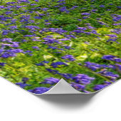 Wälder | Bluebellwald in Belgien Poster (Ecke)