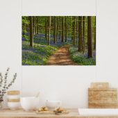 Wälder | Bluebellwald in Belgien Poster (Küche)