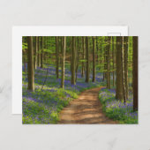 Wälder | Bluebellwald in Belgien Postkarte (Vorne/Hinten)