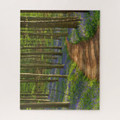 Wälder | Bluebellwald in Belgien Puzzle (Vertikal)