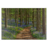 Wälder | Bluebellwald in Belgien Schneidebrett (Vorderseite)
