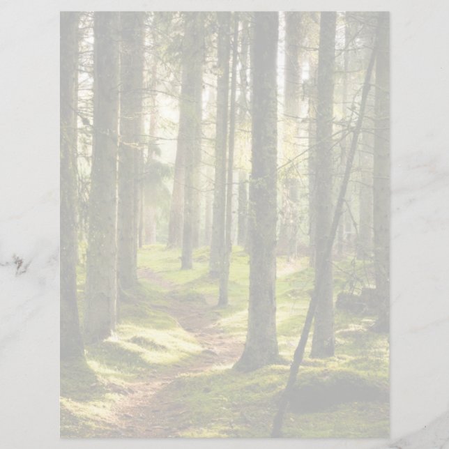 Wälder | Boreal Forest Schweden (Vorderseite)