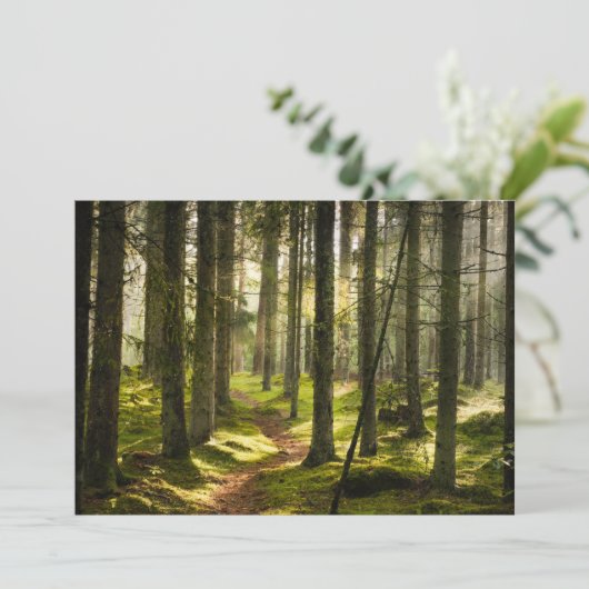 Wälder | Boreal Forest Schweden Dankeskarte (Stehend Vorderseite)