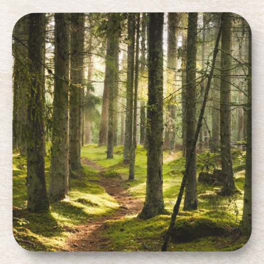 Wälder | Boreal Forest Schweden Getränkeuntersetzer (Vorderseite)