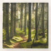 Wälder | Boreal Forest Schweden Glasuntersetzer (Vorderseite)
