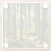 Wälder | Boreal Forest Schweden Glasuntersetzer (Rückseite)
