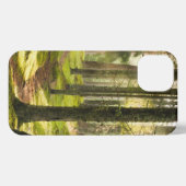 Wälder | Boreal Forest Schweden iPhone Hülle (Rückseite (Horizontal))