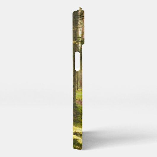 Wälder | Boreal Forest Schweden iPhone Hülle (Rechte Seite)