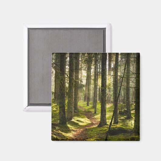 Wälder | Boreal Forest Schweden Magnet (Vorderseite/Rückseite)