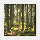 Wälder | Boreal Forest Schweden Magnet (Vorne)