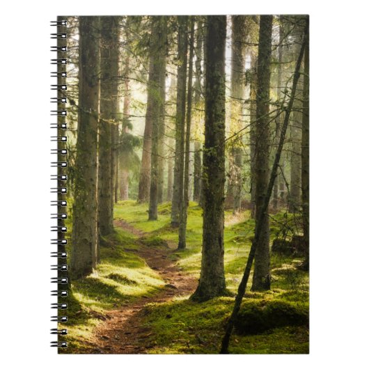 Wälder | Boreal Forest Schweden Notizblock (Vorderseite)
