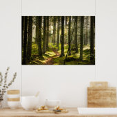 Wälder | Boreal Forest Schweden Poster (Küche)