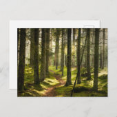 Wälder | Boreal Forest Schweden Postkarte (Vorne/Hinten)