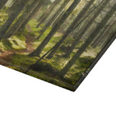Wälder | Boreal Forest Schweden Schneidebrett (Ecke)