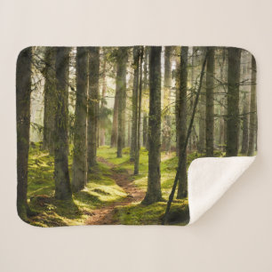 Wälder   Boreal Forest Schweden Sherpadecke