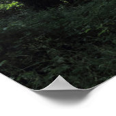 Wälder. Bute Park, Cardiff Poster (Ecke)