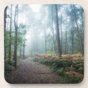 Wälder Dark Foggy Woods Norfolk Vereinigtes Köni Getränkeuntersetzer