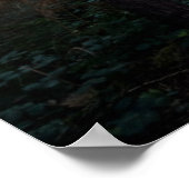 Wälder | Dark Foggy Woods Norfolk Vereinigtes Köni Poster (Ecke)