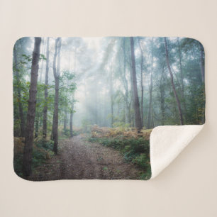 Wälder Dark Foggy Woods Norfolk Vereinigtes Köni Sherpadecke
