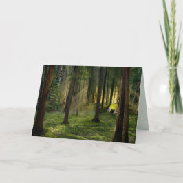 Wälder der Morgendämmerung Feiertagskarte