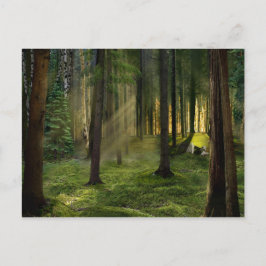 Wälder der Morgendämmerung Postkarte