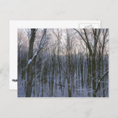 Wälder der Schneebaume Postkarte (Vorne/Hinten)