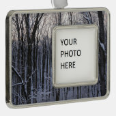 Wälder der Schneebaume Rahmen-Ornament Silber (Rechts)