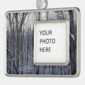 Wälder der Schneebaume Rahmen-Ornament Silber (Links)