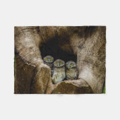 Wälder | Drei Eulen suchen Fleecedecke (Vorderseite (Horizontal))