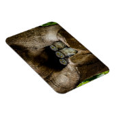 Wälder | Drei Eulen suchen Magnet (Rechte Seite)