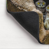 Wälder | Drei Eulen suchen Mousepad (Ecke)