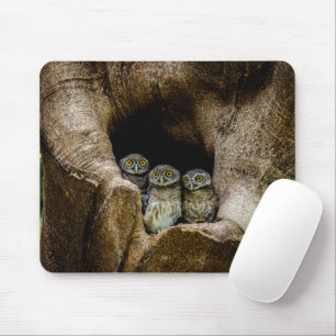 Wälder   Drei Eulen suchen Mousepad