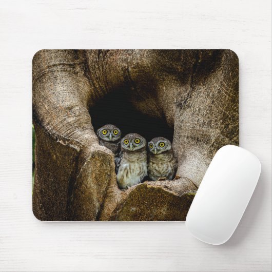 Wälder | Drei Eulen suchen Mousepad (Mit Mouse)