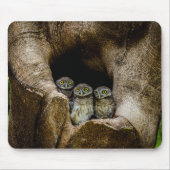Wälder | Drei Eulen suchen Mousepad (Vorne)