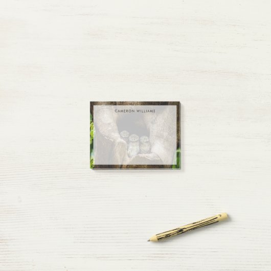 Wälder | Drei Eulen suchen Post-it Klebezettel (Auf Schreibtisch)