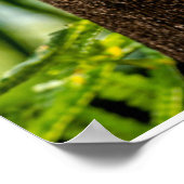 Wälder | Drei Eulen suchen Poster (Ecke)