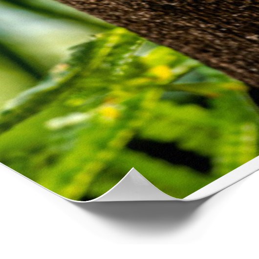 Wälder | Drei Eulen suchen Poster (Ecke)