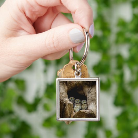 Wälder | Drei Eulen suchen Schlüsselanhänger (Hand)