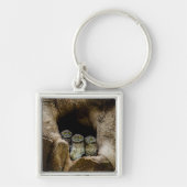 Wälder | Drei Eulen suchen Schlüsselanhänger (Vorne)