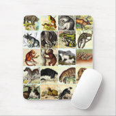 Wälder, Dschungel und Meeresschollen Kunst Mousepad (Mit Mouse)