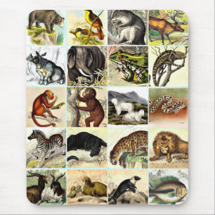 Wälder, Dschungel und Meeresschollen Kunst Mousepad