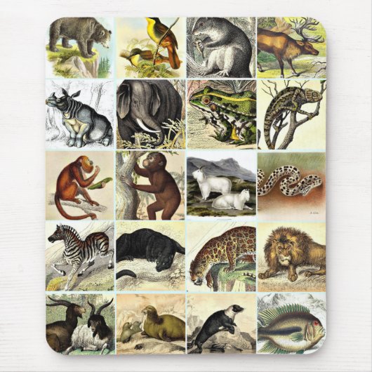 Wälder, Dschungel und Meeresschollen Kunst Mousepad (Vorne)