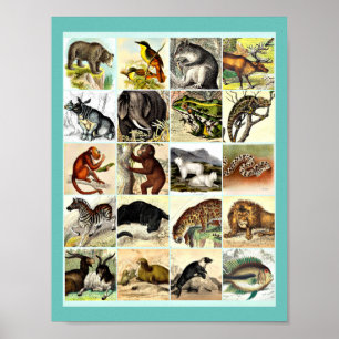 Wälder, Dschungel und Meeresschollen Kunst Poster